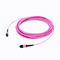 cable del varón OM4 MPO de 24F 40G